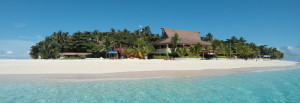 Beachcomber