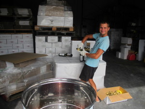 Arbeit in der Winery