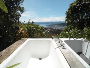 Garten-Badewannen in Wellington