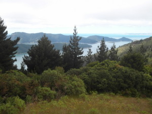 Fjord der Marlborough-Sounds