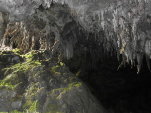 Rawhiti Cave Eingang