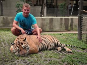 Das Tiger Kingdom